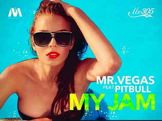Mr Vegas