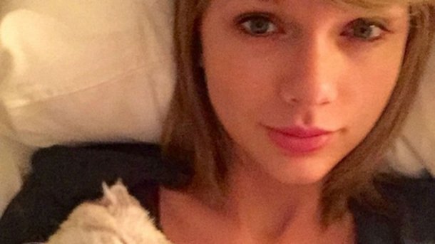 Taylor Swift : son chat pourrait lui faire gagner 40 millions de dollars!