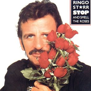 Stop and Smell the Roses