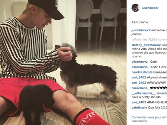 Justin Bieber et son chiot