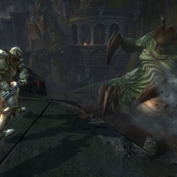 Les Royaumes d'Amalur : Reckoning (2012)
