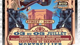 Championnat de France de Skateboard 2026