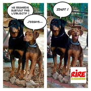 Le top 100 des Blagues de Rire & Chansons : oh la belle photo