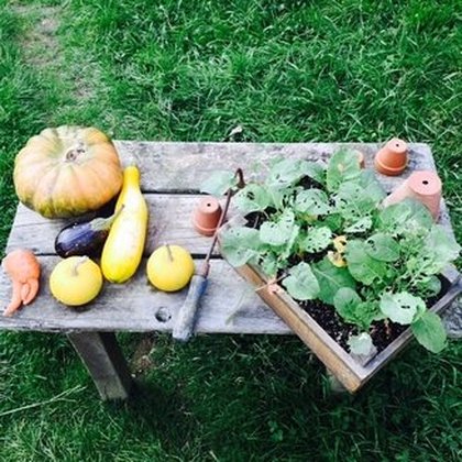 "Hobbits are on my diet #eatnourishglow"