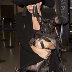 Lady Gaga et ses lunettes