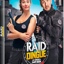 Raid Dingue de Dany Boon - DVD