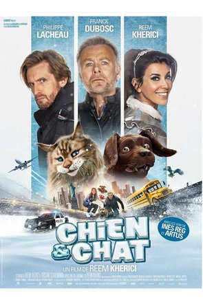 Jeu concours - Chien et Chat  - Un film de Reem Kherici - Avec Franck Dubosc, Reem Kherici, Philippe Lacheau et avec les voix d’Inès Reg et Artus - Places de cinéma à gagner