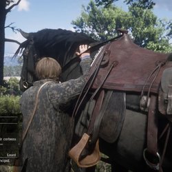 Le cheval est très, très important. Tous ont des aptitudes différentes et des gabarits distincts.