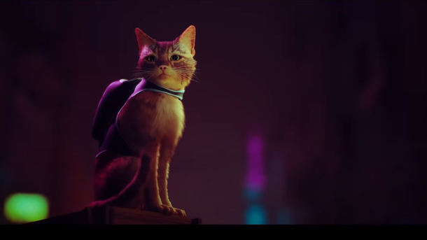 « Stray » : le jeu culte adapté en film d’animation