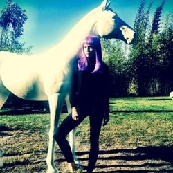  © Miley Cyrus Twitter