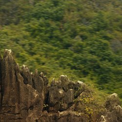 Kong: Skull Island