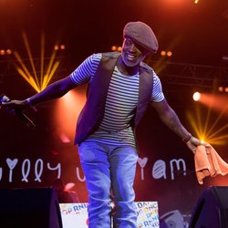 Willy William - NRJ In The Park Trélazé 2016