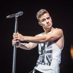 Liam Payne - L'Annuel Officiel 2015