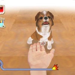 Nintendogs