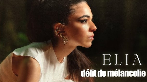 Le coup de cœur du 17-20 : "Délit de mélancolie" de Elia