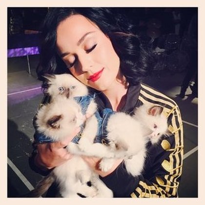 Katy Perry: heaven is a place on earth