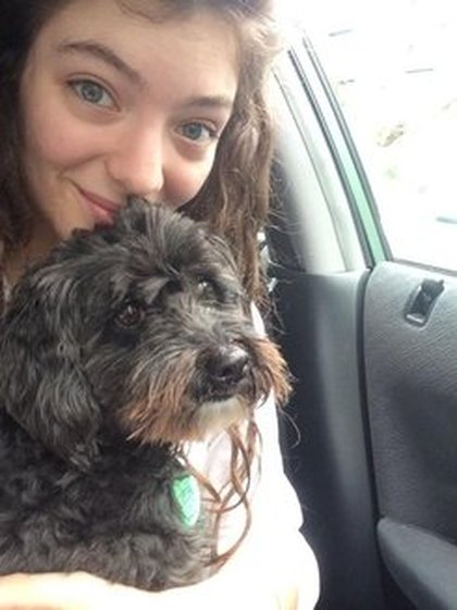 Lorde: tried to take a qt selfie with my dog before i realized he is going through a deep existential crisis right now oops 