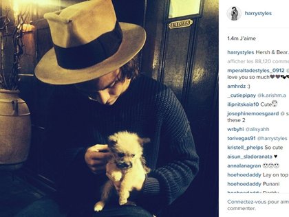 Harry Styles
