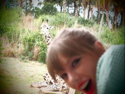 Taylor Swift : le royaume animal 