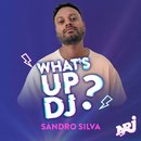 Sandro Silva - What's Up DJ ?