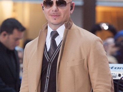 pitbull