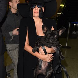 Lady Gaga et ses lunettes