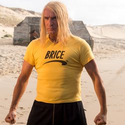 Brice 3