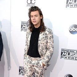 Harry Styles : un côté fleur bleue