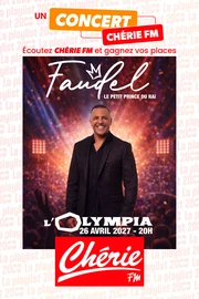 Faudel en concert
