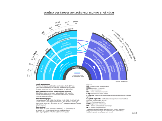 LE PANORAMA DES ETUDES APRES LA 3E d’ORIANE.INFO
