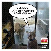 Tata est revenue - Les images drôles de Rire & Chansons