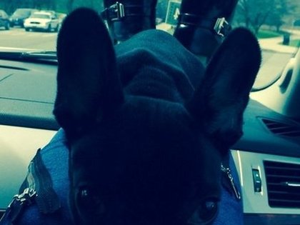 lady-gaga