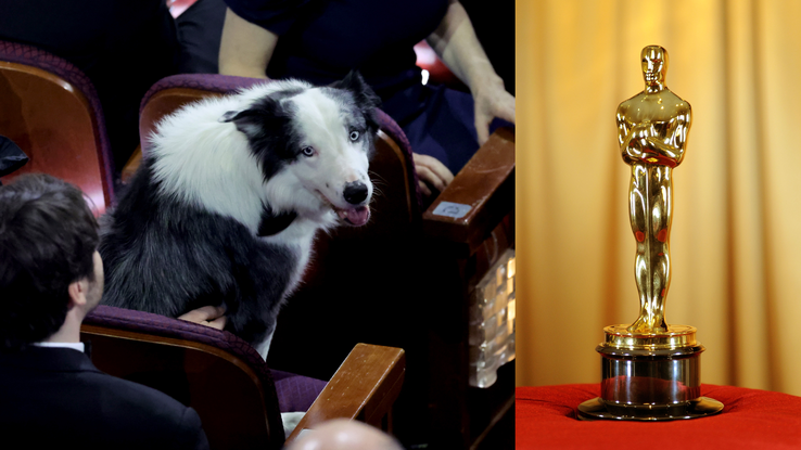 Messi aux Oscars 2024 / Illustration d'un Oscar