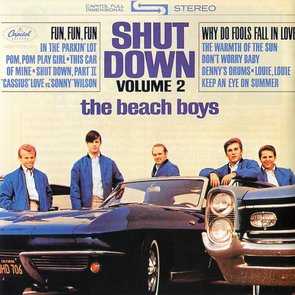 Shut Down, Volume 2