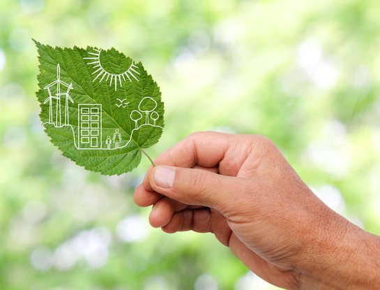 Eco-concepteur : un métier pour se mettre au vert
