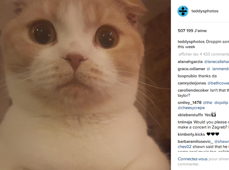 Ed Sheeran chat