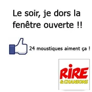 Pourquoi ce n'est pas une bonne idée de dormir la fenêtre ouverte, enfin, sauf pour certains ! - La blague du jour