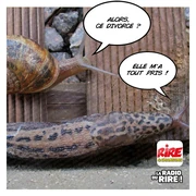 Blague : dur, le divorce !