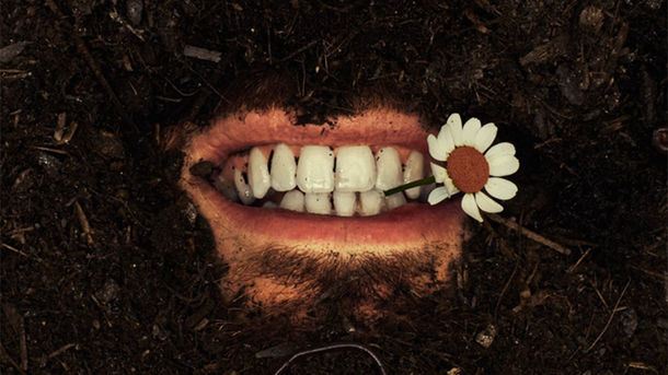 Le coup de cœur du 17-20 : "Too Sweet" de Hozier