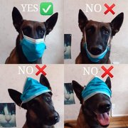 Masque : C'est bon ? C'est assez clair ?