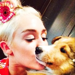 Miley Cyrus et son nouveau compagnon !
