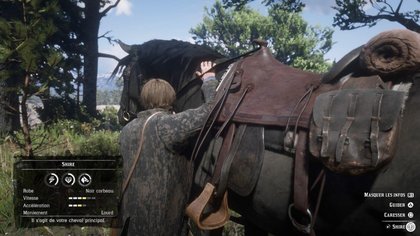 Le cheval est très, très important. Tous ont des aptitudes différentes et des gabarits distincts.