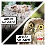 Comment on est , avant et après le café