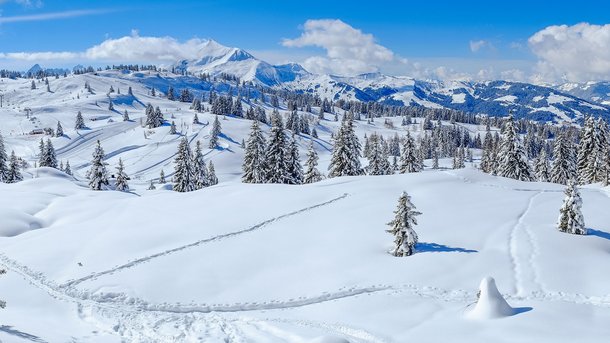 Les infos du Réveil Chérie : Pour éviter la quarantaine en Norvège, il tente de traverser la frontière à skis