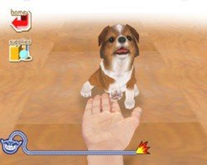 Nintendogs