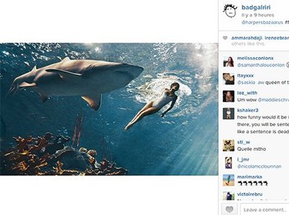 Rihanna-requins