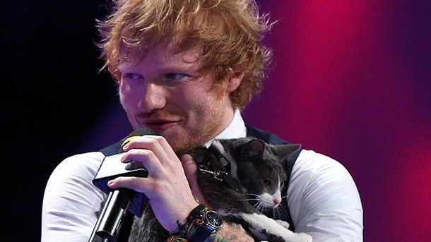 Ed Sheeran a créé un compte Instagram pour… son chat !