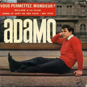 Vous Permettez Monsieur?