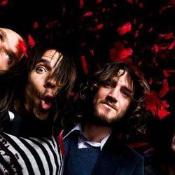 Les Red Hot Chili Peppers sous acide