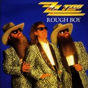 ROUGH BOY